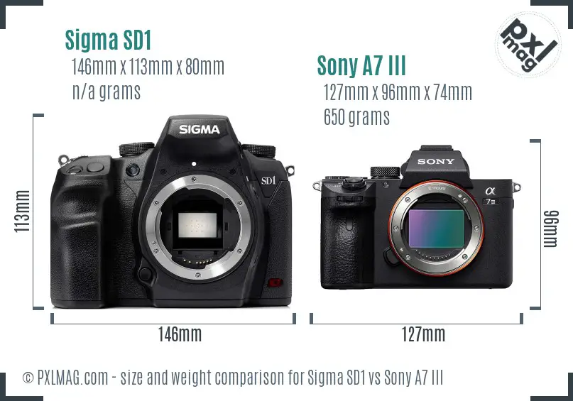 Sigma SD1 vs Sony A7 III size comparison