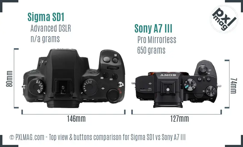 Sigma SD1 vs Sony A7 III top view buttons comparison