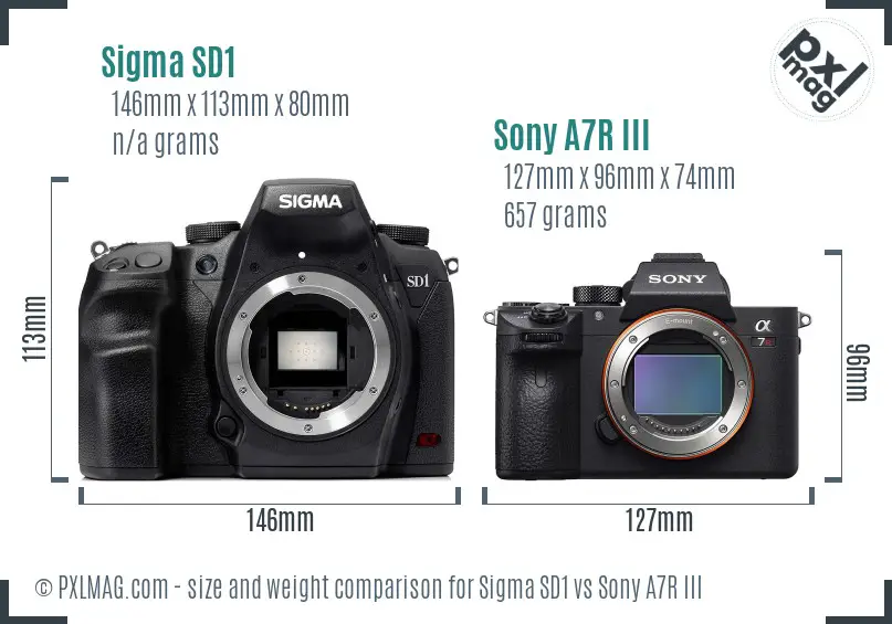 Sigma SD1 vs Sony A7R III size comparison Sigma SD1 vs Sony A7R III size comparison