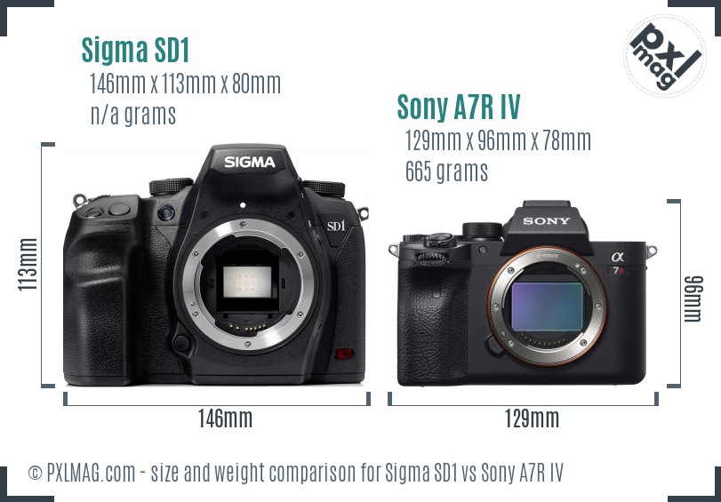 Sigma SD1 vs Sony A7R IV size comparison