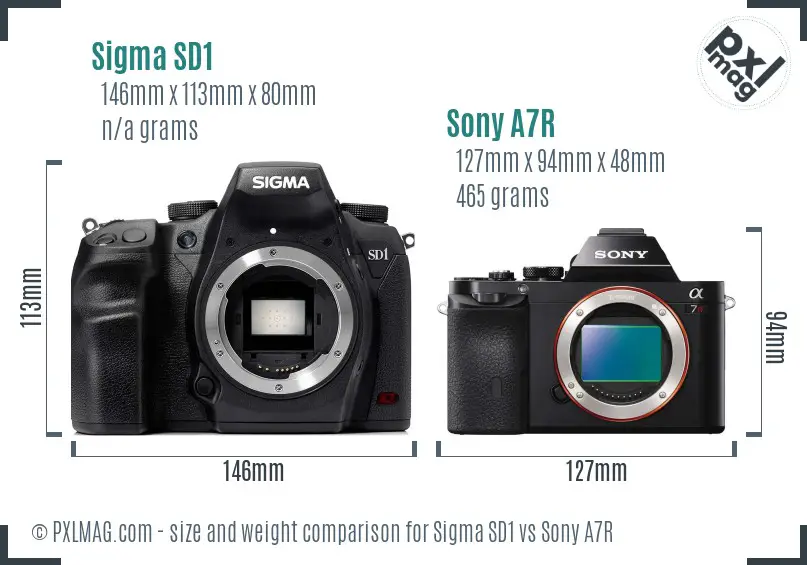Sigma SD1 vs Sony A7R size comparison