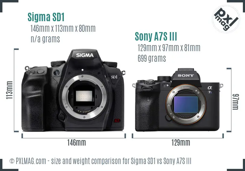 Sigma SD1 vs Sony A7S III size comparison