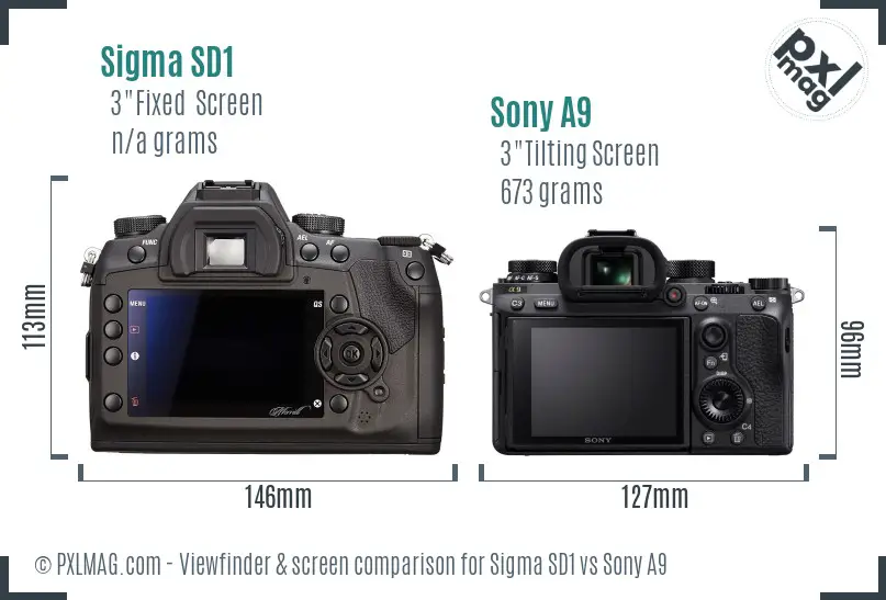 Sigma SD1 vs Sony A9 Screen and Viewfinder comparison