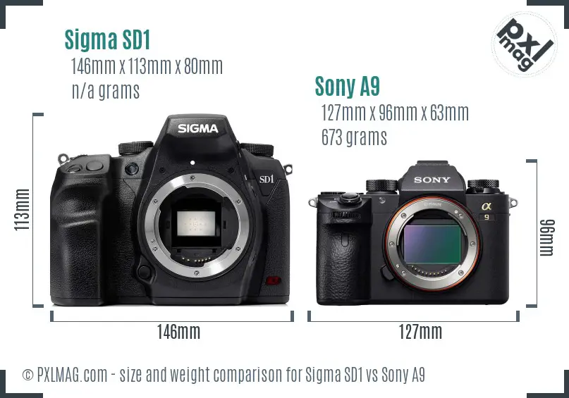 Sigma SD1 vs Sony A9 size comparison