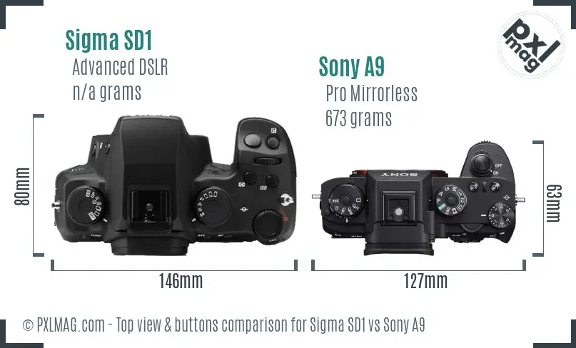 Sigma SD1 vs Sony A9 top view buttons comparison