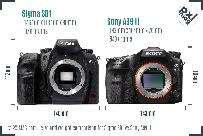 Sigma SD1 vs Sony A99 II size comparison