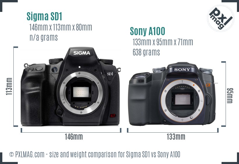 Sigma SD1 vs Sony A100 size comparison Sigma SD1 vs Sony A100 size comparison