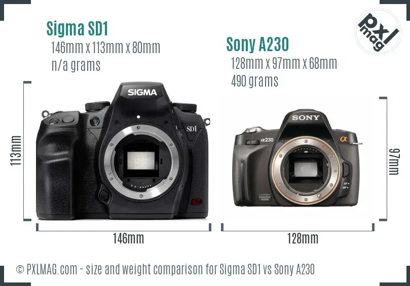 Sigma SD1 vs Sony A230 size comparison