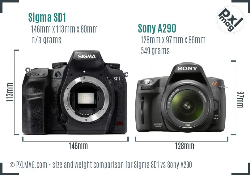 Sigma SD1 vs Sony A290 size comparison