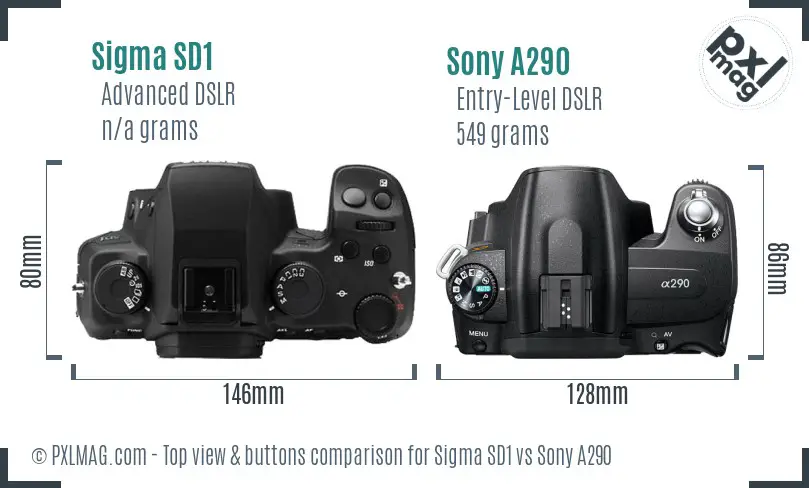 Sigma SD1 vs Sony A290 top view buttons comparison
