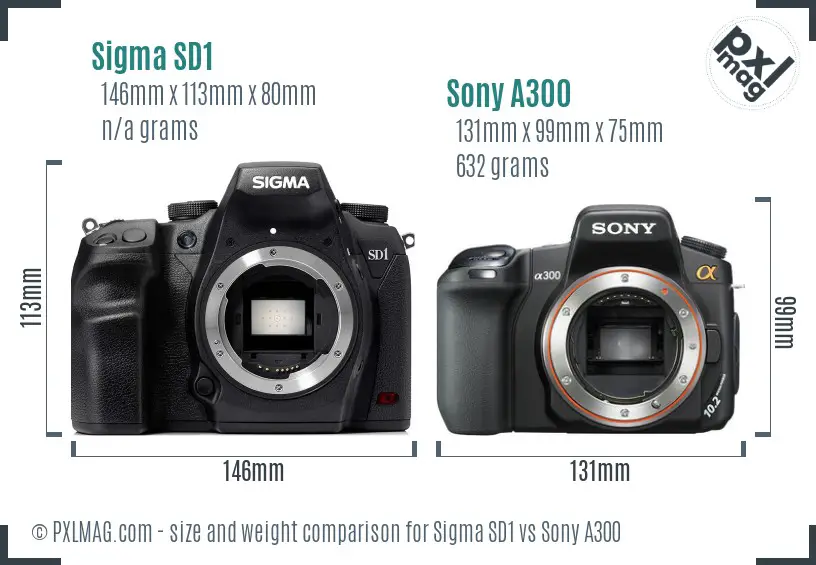Sigma SD1 vs Sony A300 size comparison