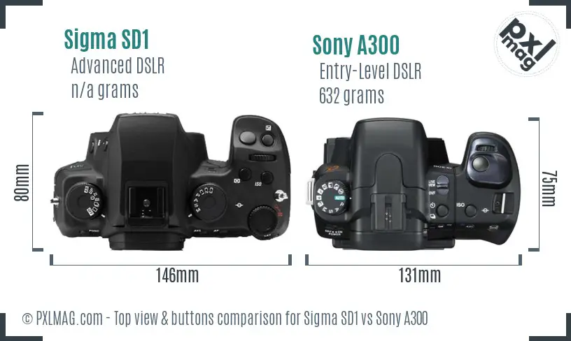 Sigma SD1 vs Sony A300 top view buttons comparison