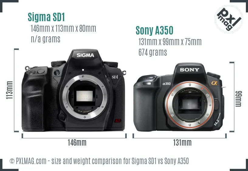 Sigma SD1 vs Sony A350 size comparison