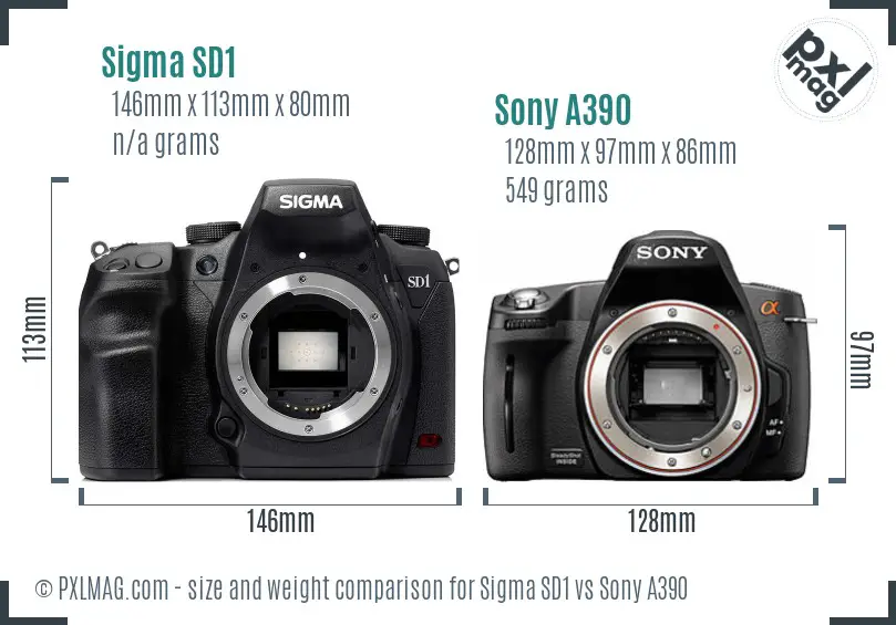 Sigma SD1 vs Sony A390 size comparison