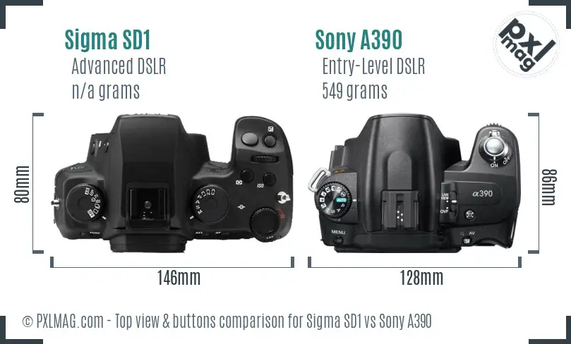 Sigma SD1 vs Sony A390 top view buttons comparison