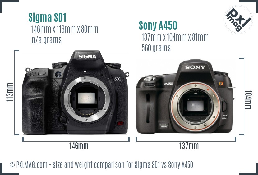Sigma SD1 vs Sony A450 size comparison Sigma SD1 vs Sony A450 size comparison