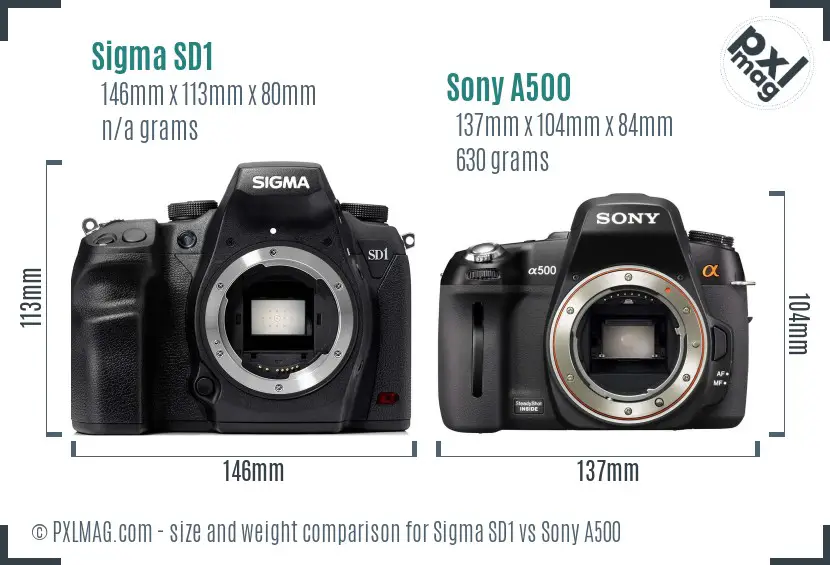 Sigma SD1 vs Sony A500 size comparison