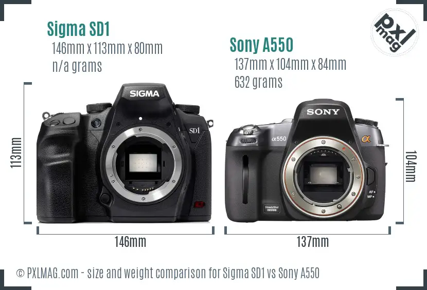 Sigma SD1 vs Sony A550 size comparison