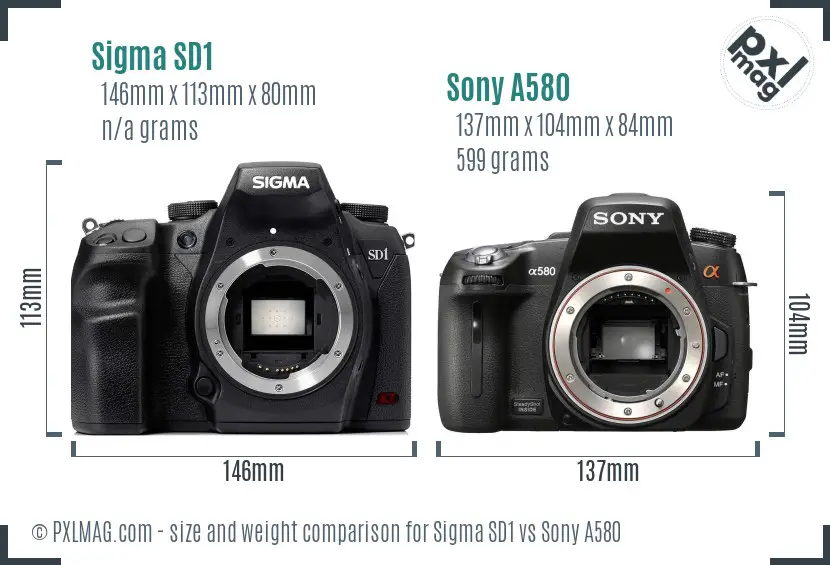 Sigma SD1 vs Sony A580 size comparison