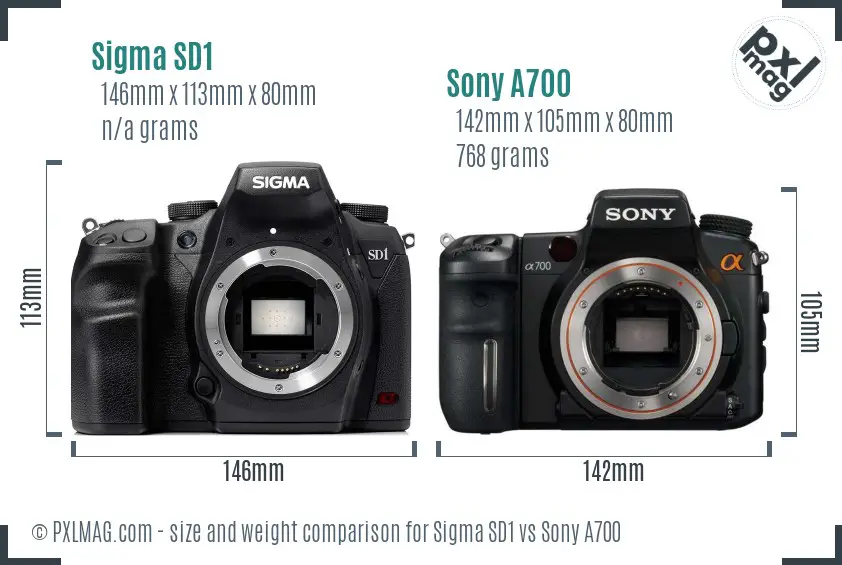 Sigma SD1 vs Sony A700 size comparison