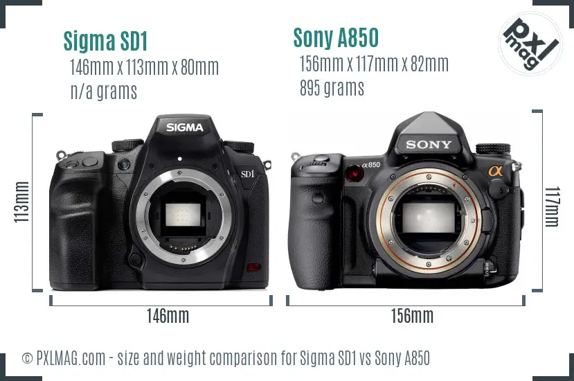 Sigma SD1 vs Sony A850 size comparison