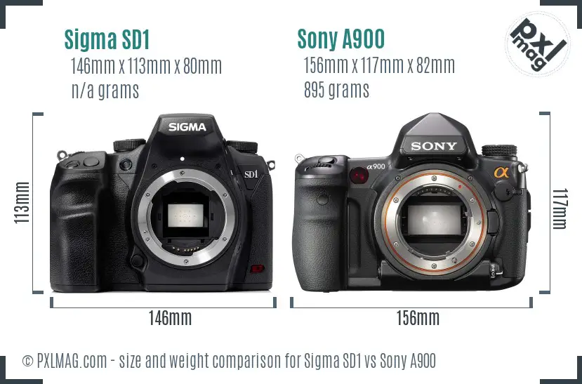 Sigma SD1 vs Sony A900 size comparison