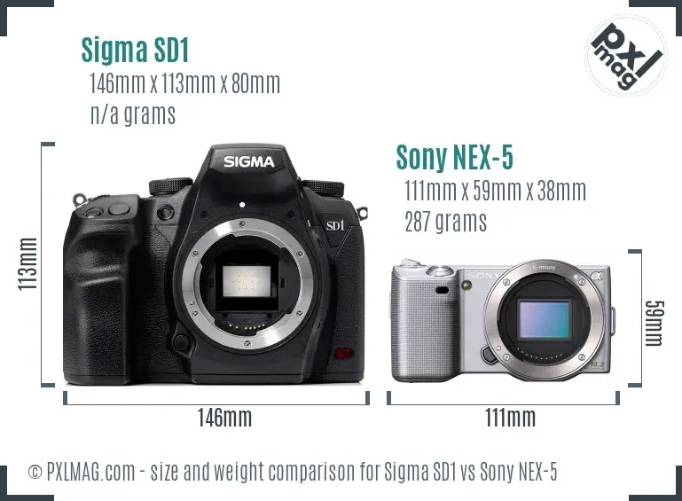 Sigma SD1 vs Sony NEX-5 size comparison Sigma SD1 vs Sony NEX-5 size comparison