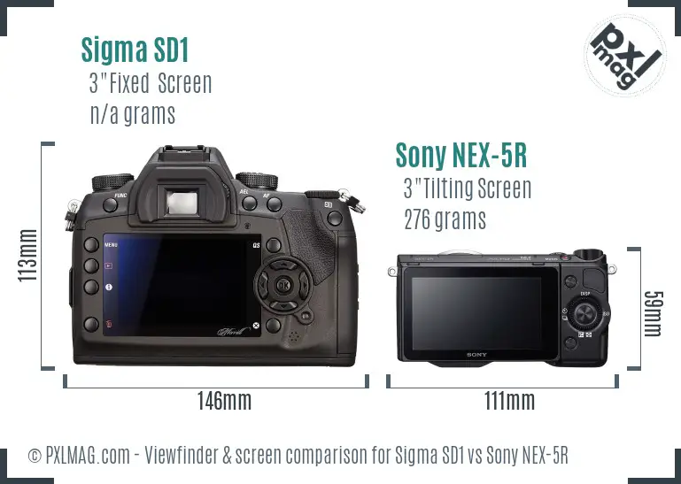 Sigma SD1 vs Sony NEX-5R Screen and Viewfinder comparison