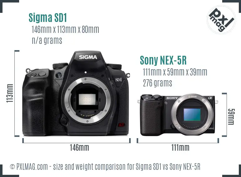 Sigma SD1 vs Sony NEX-5R size comparison
