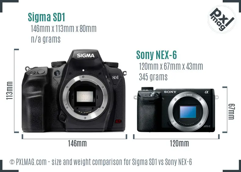 Sigma SD1 vs Sony NEX-6 size comparison Sigma SD1 vs Sony NEX-6 size comparison