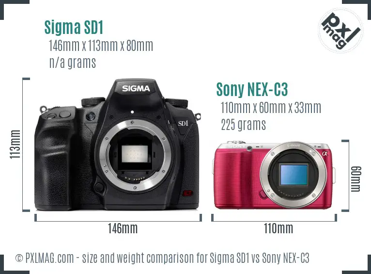 Sigma SD1 vs Sony NEX-C3 size comparison Sigma SD1 vs Sony NEX-C3 size comparison
