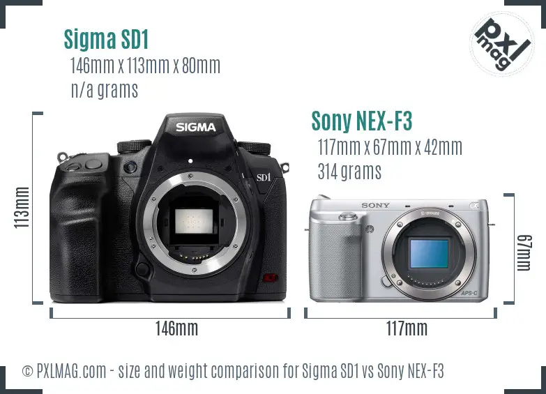 Sigma SD1 vs Sony NEX-F3 size comparison