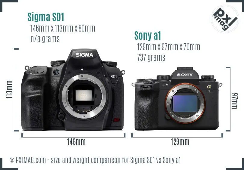 Sigma SD1 vs Sony a1 size comparison