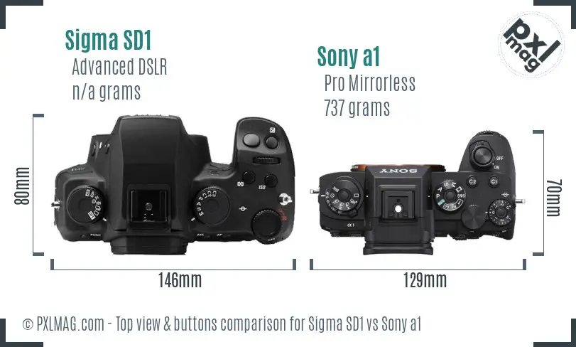 Sigma SD1 vs Sony a1 top view buttons comparison