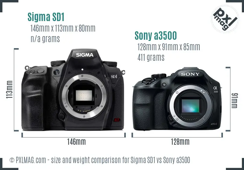 Sigma SD1 vs Sony a3500 size comparison