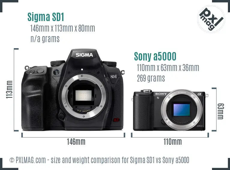 Sigma SD1 vs Sony a5000 size comparison