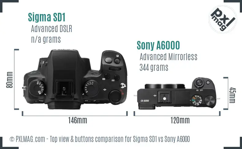 Sigma SD1 vs Sony A6000 top view buttons comparison
