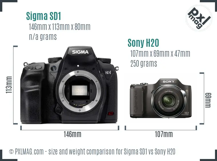 Sigma SD1 vs Sony H20 size comparison