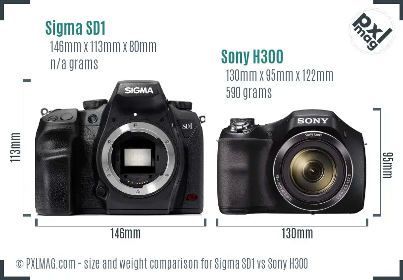Sigma SD1 vs Sony H300 size comparison