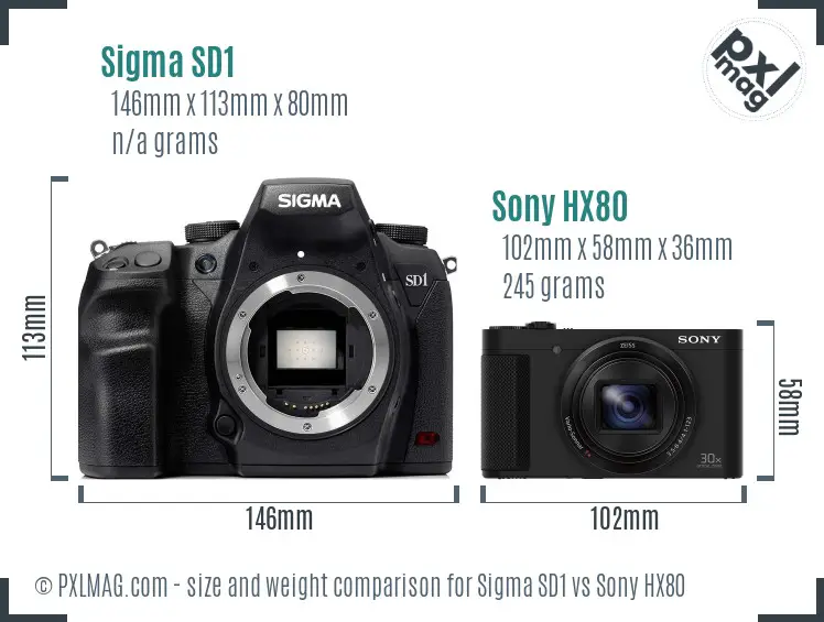 Sigma SD1 vs Sony HX80 size comparison Sigma SD1 vs Sony HX80 size comparison