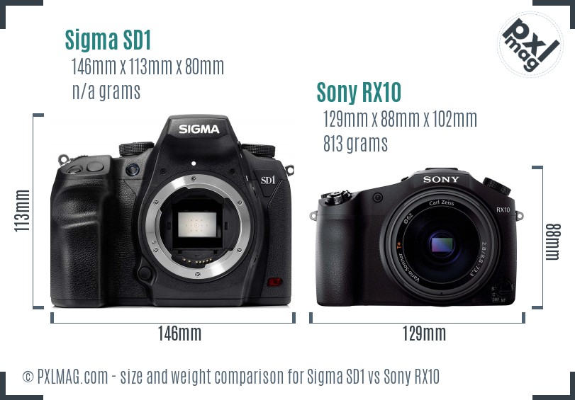 Sigma SD1 vs Sony RX10 size comparison