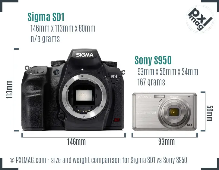 Sigma SD1 vs Sony S950 size comparison