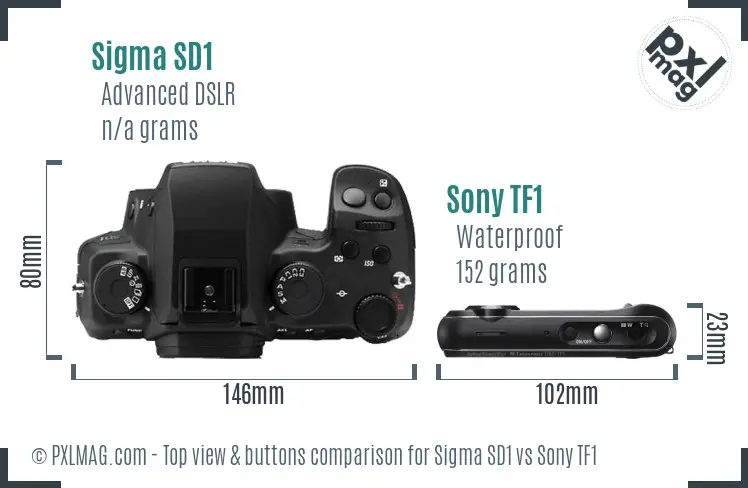 Sigma SD1 vs Sony TF1 top view buttons comparison