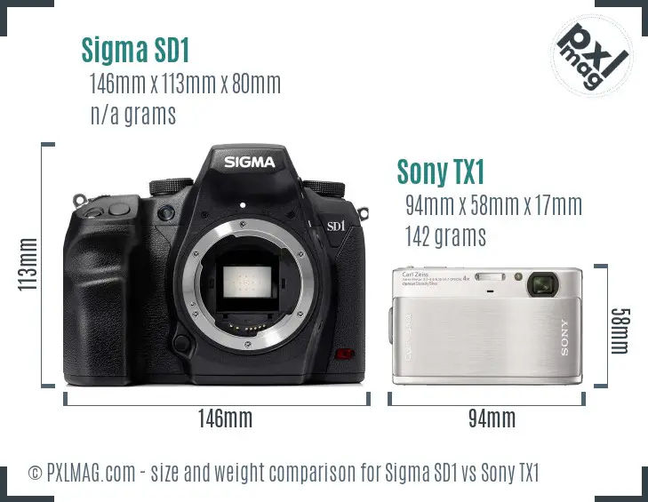 Sigma SD1 vs Sony TX1 size comparison