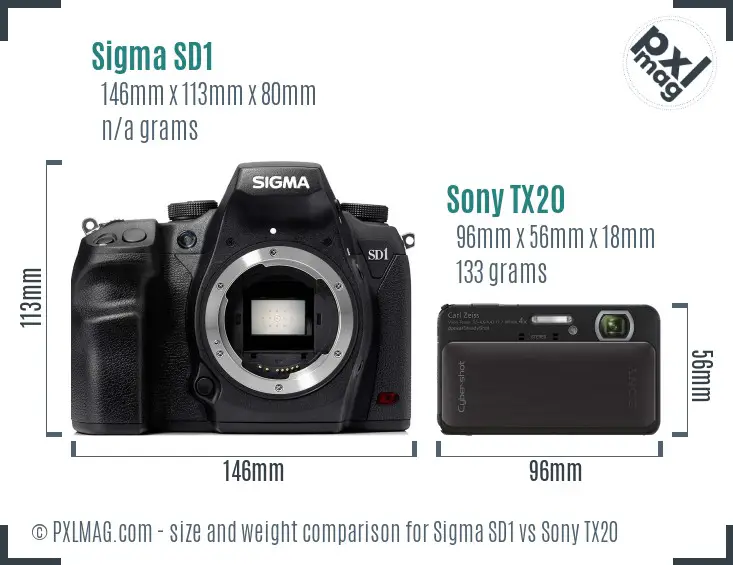Sigma SD1 vs Sony TX20 size comparison