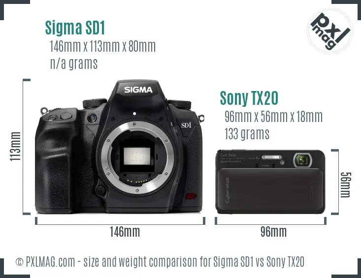 Sigma SD1 vs Sony TX20 size comparison Sigma SD1 vs Sony TX20 size comparison