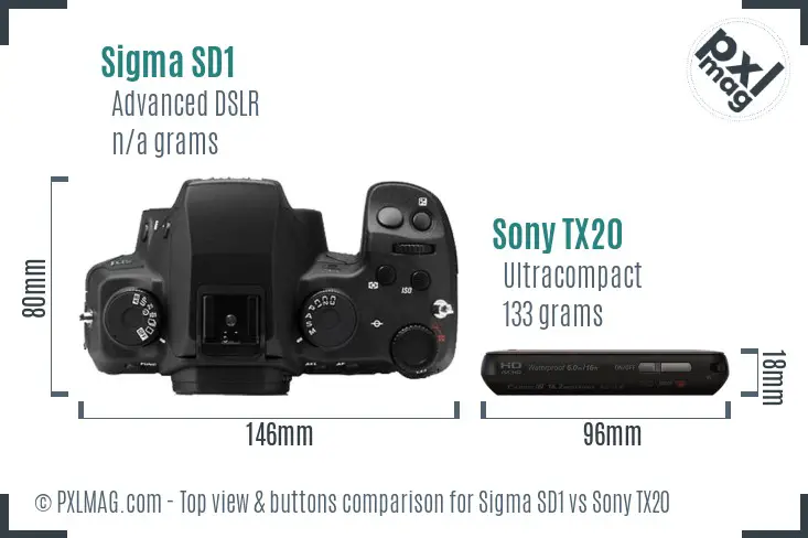 Sigma SD1 vs Sony TX20 top view buttons comparison