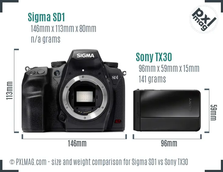 Sigma SD1 vs Sony TX30 size comparison