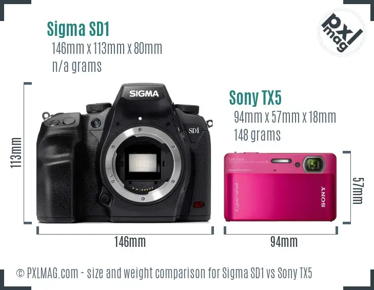 Sigma SD1 vs Sony TX5 size comparison