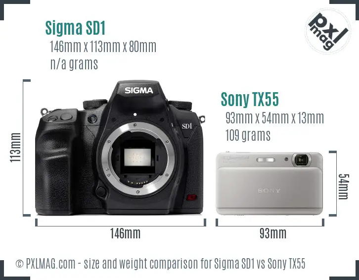 Sigma SD1 vs Sony TX55 size comparison